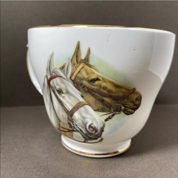 Tea Cup And Saucer Father Horses Duchess Bone China England Large Size - Picture 9 of 12
